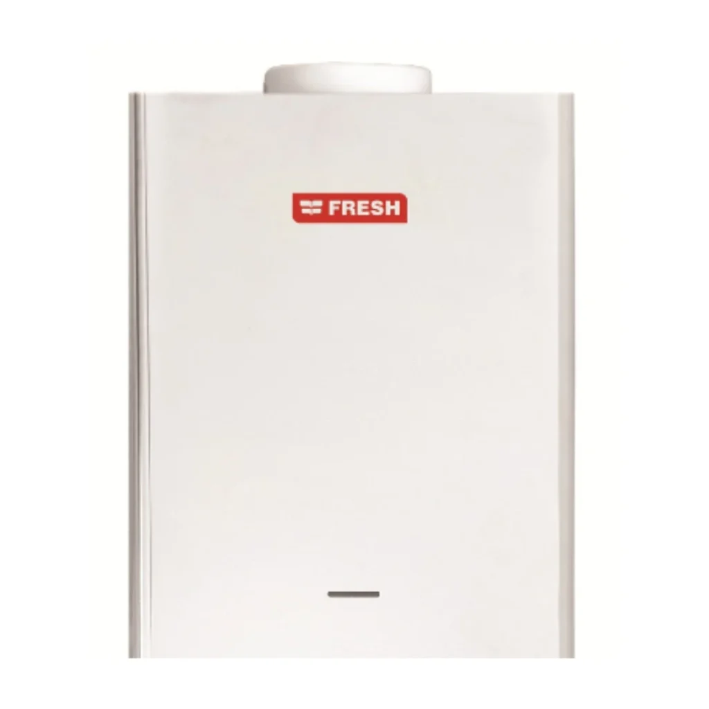 Fresh Gas Water Heater With  Chimney 10 Liters Stainless Steel