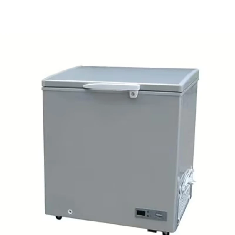 Pioneer Deep Freezer 210 Liters Silver Aluminum Heart