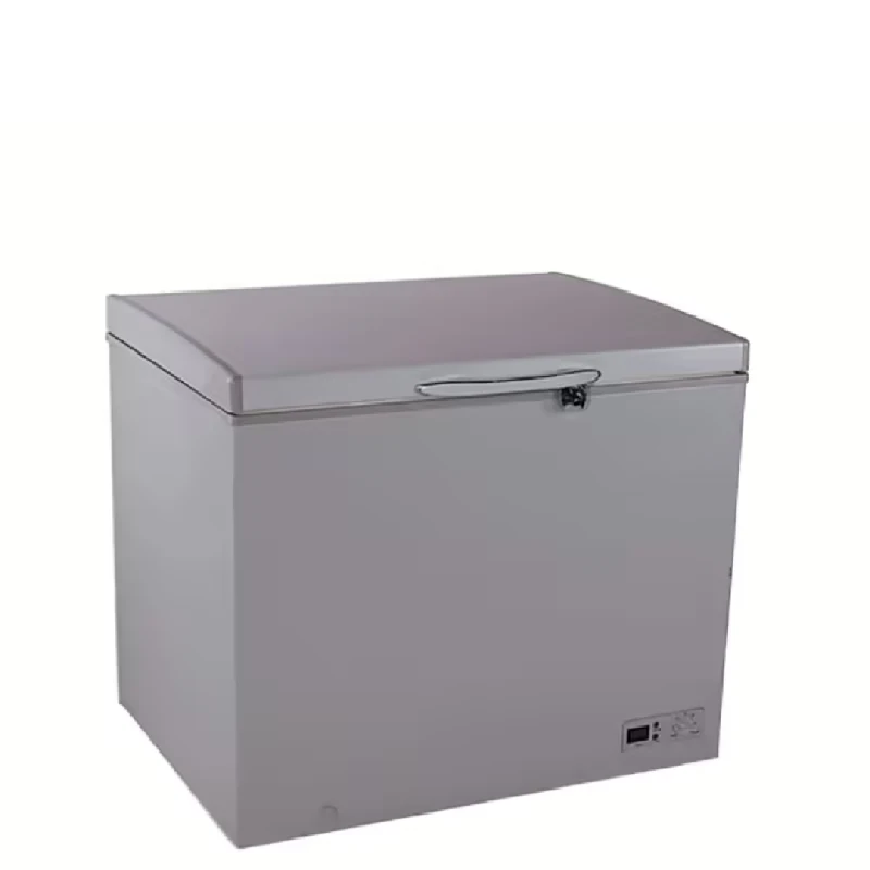 Pioneer Deep Freezer 275 Liters Silver Aluminum Heart