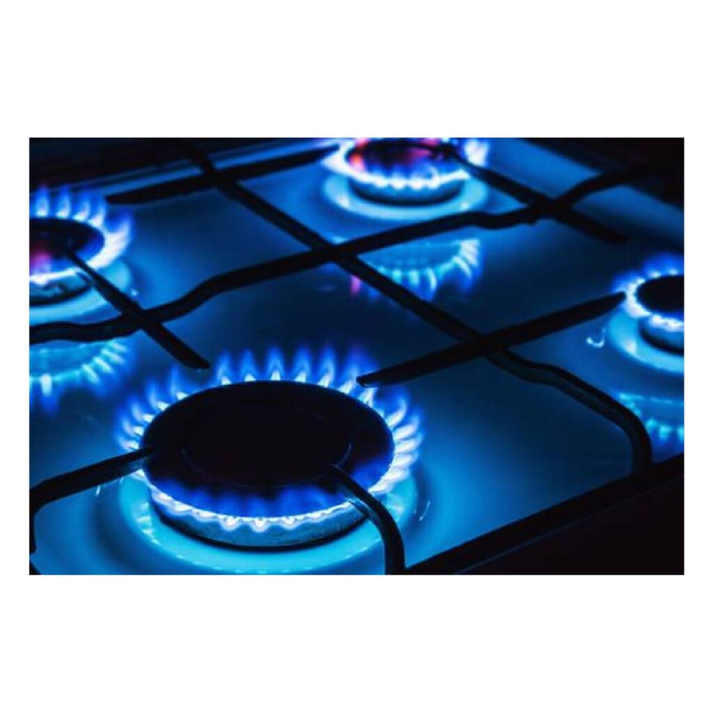 Fresh Professional Gas Cooker