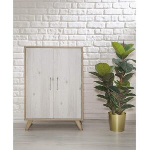 shoe-cabinet-2-doors-3-shelves-100cm-hpl-coated-wooden-ant1068