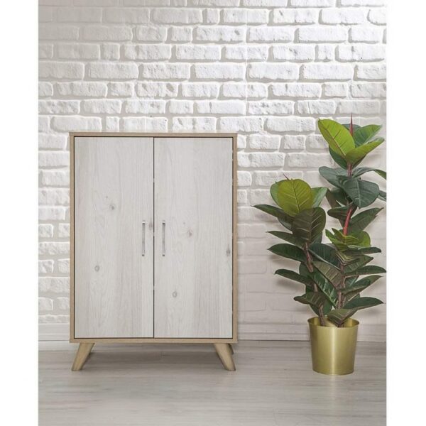 shoe-cabinet-2-doors-3-shelves-100cm-hpl-coated-wooden-ant1068