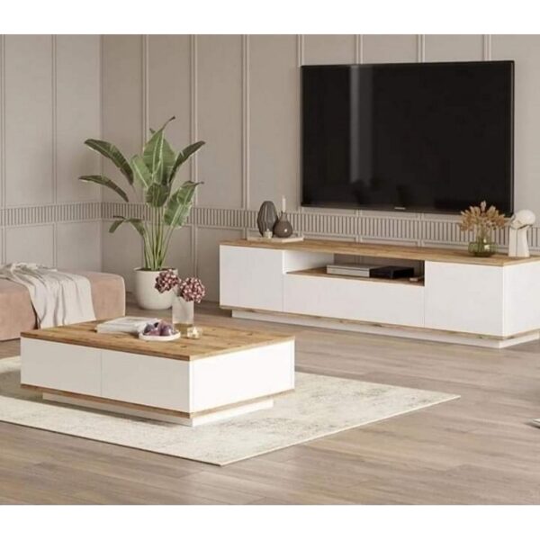 Living Room Set TV Unit 160 Cm Coffee Table 100 Cm ANT1153